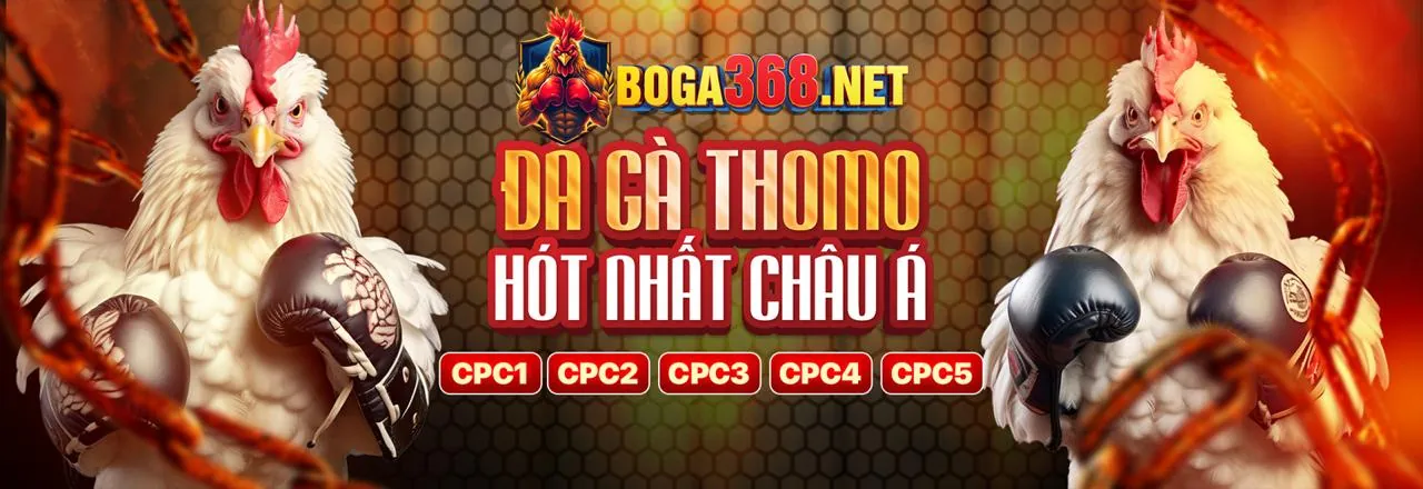 Sân vận động thể thao sôi động với logo 68win18